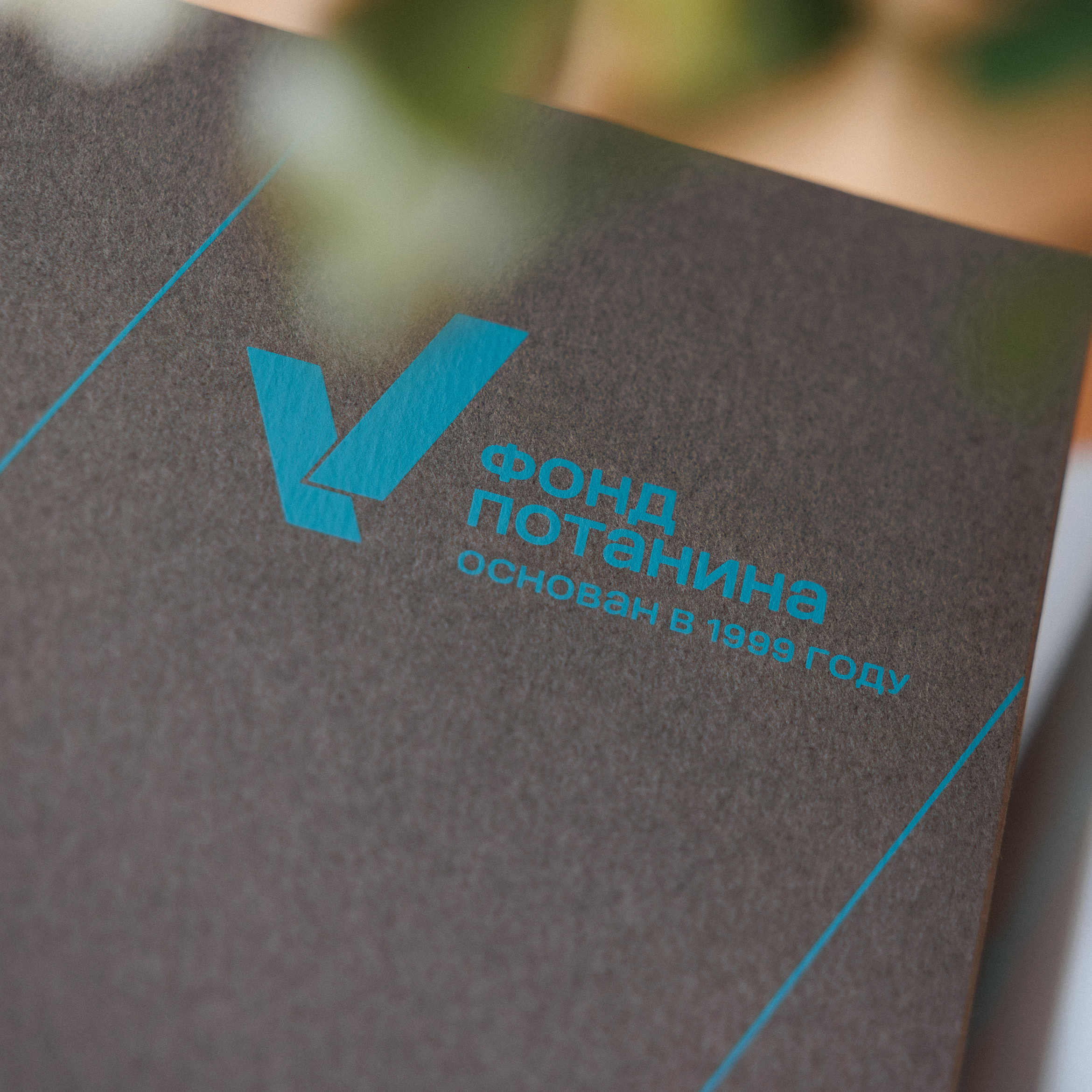 Книга «Устойчивые связи» 