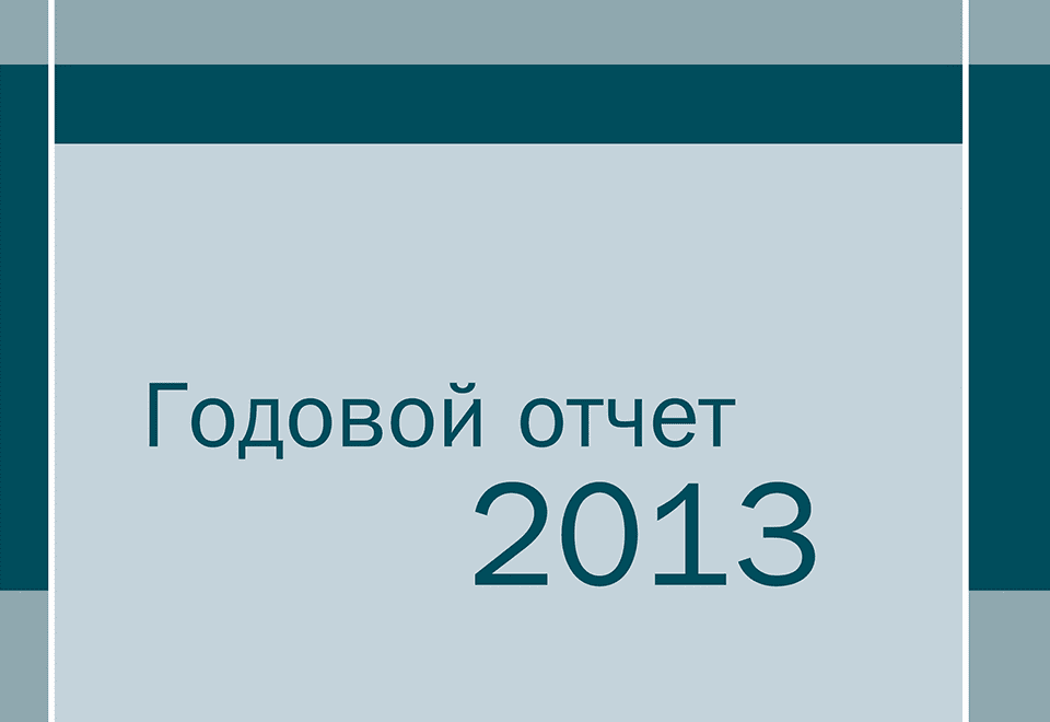 Годовой отчет 2013